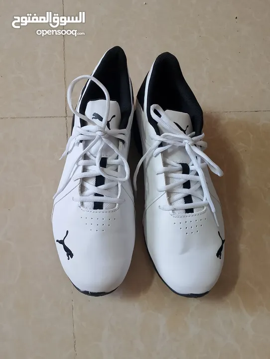 حذاء .Puma  اصلي بحال الوكاله لساته جديد وارد أروبي  الواحد ب 35