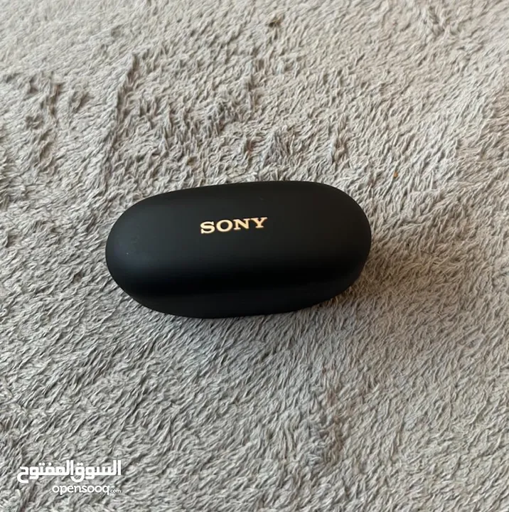 Sony wireless noise cancellation Earbuds & STC router