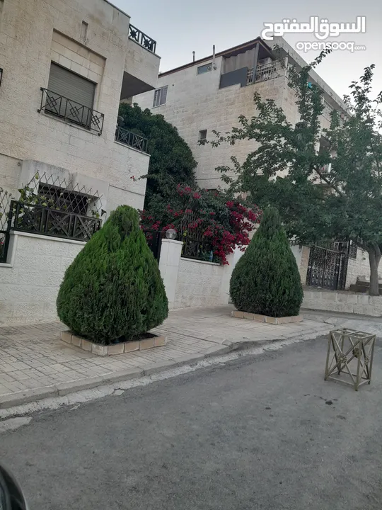 قص الاشجار وتنسيق الحدائق ورش الاشجار بأسعار جيدة