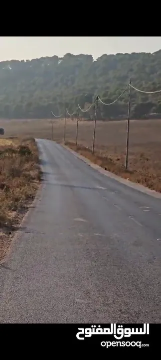 ارض للبيع في طوباس طابو سلطه المساحه  200دونم تصنيف الف