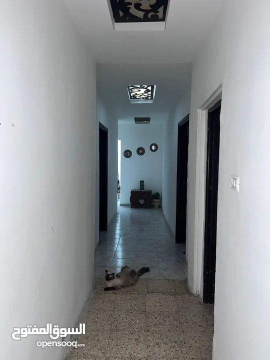 شقة سكنية للبيع