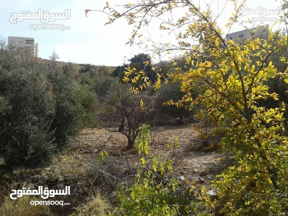 ارض مميزة مطلة ابو السوس غرب عمان عدة قطع في المنطقة.