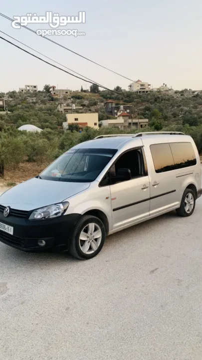 كادي 2013  شصي طويل