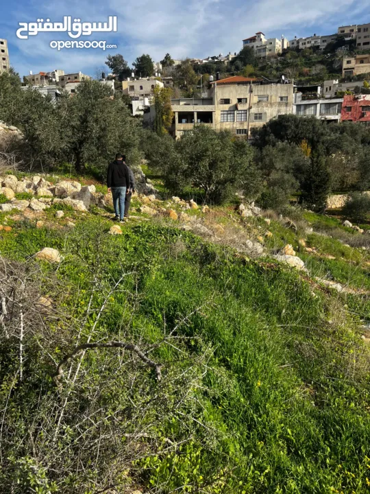 أرض للبيع بإطلالة غربية واصل جميع الخدمات