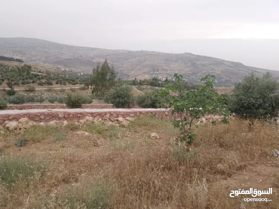 أرض ذات إطلالة خلابة في أجمل مناطق جرش