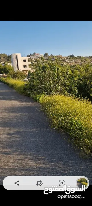 ارض للبيع في برهام قرب بيرزيت مساحه 750متر
