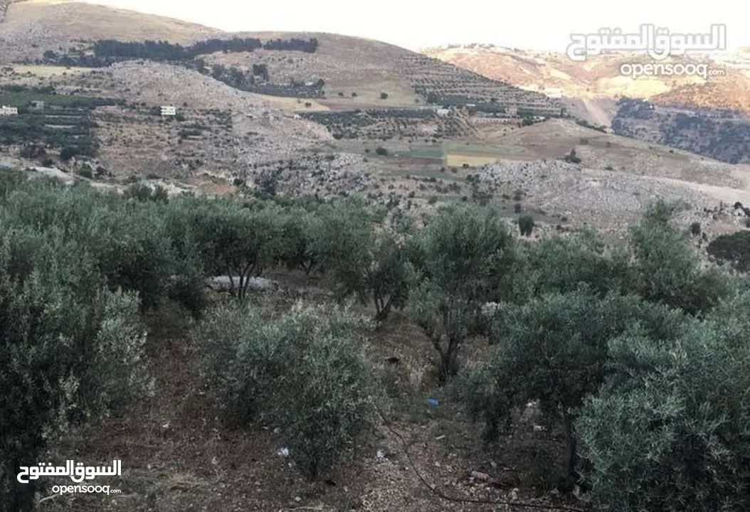 أرض للبيع في وادي السلط جورة صالح بسعر مغري!  مساحتها 3.427 دونمات ذات اطلالة رائعة على الفحيص وماحص