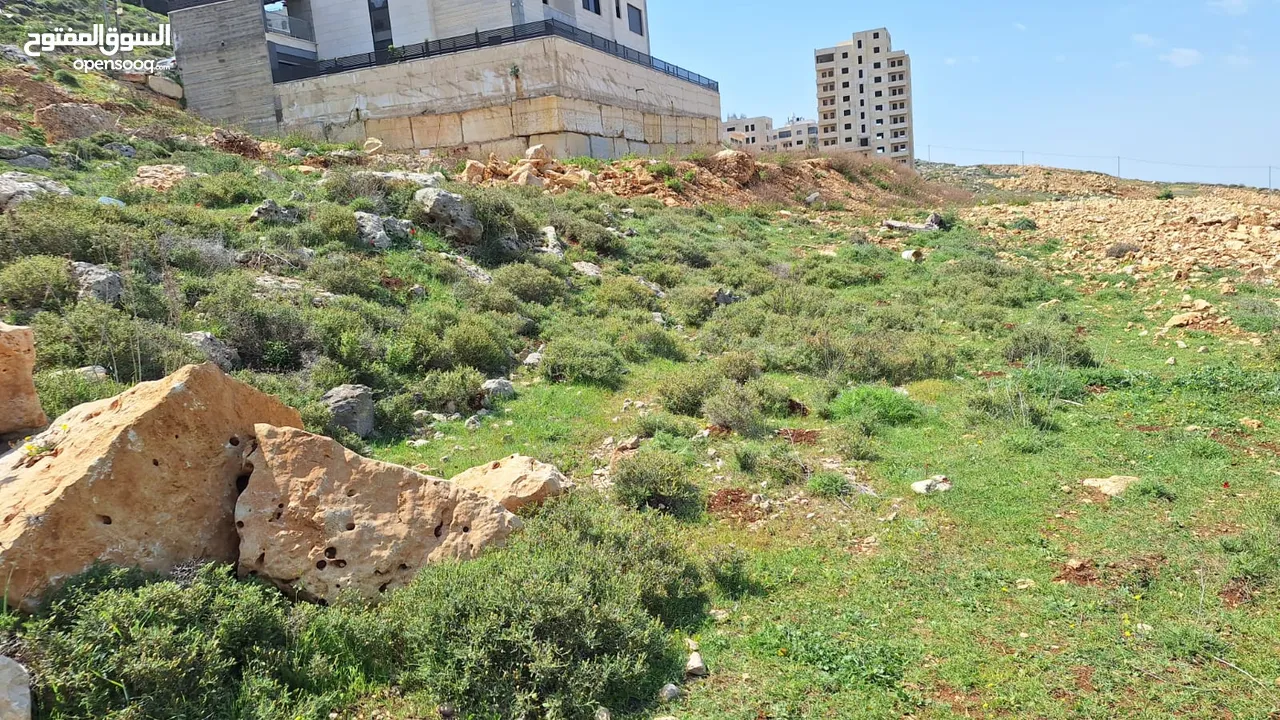 ارض للبيع طابو سلطه  سكن با 3دونم في العالي ع قمه الجبل   في عي عريك