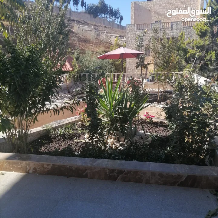 فيلا فاخرة مفروشه للايجار من المالك