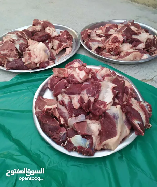 ذبح اضاحي  متنقل