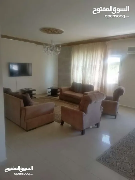 شقة مفروشه ب ضاحية الرشيد