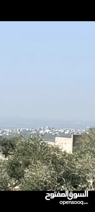 قطعة ارض مطلة عالساحل