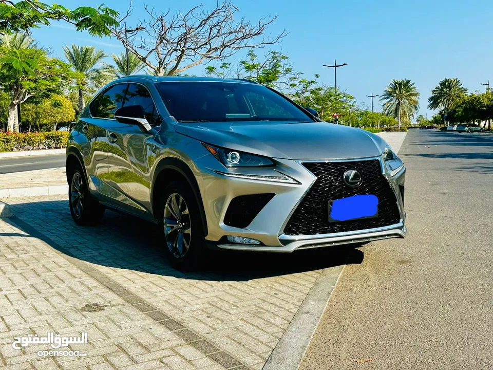 Lexus NX 300 2019 F Sport