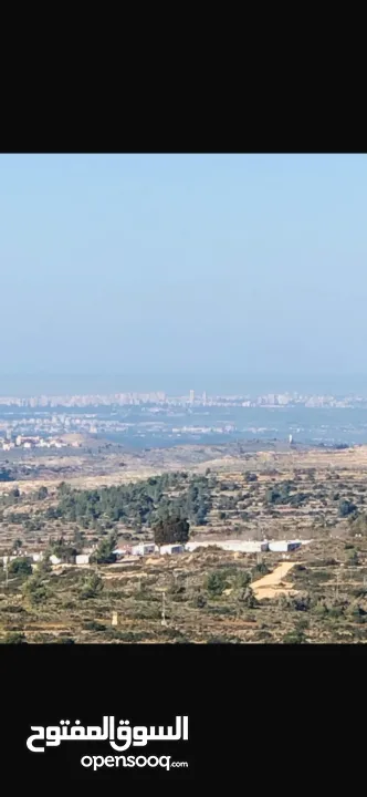 ارض للبيع فل مزرعة الغربية