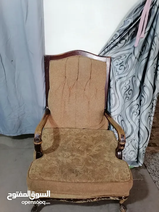 عرض اليوم الدب 45.والمرس 35