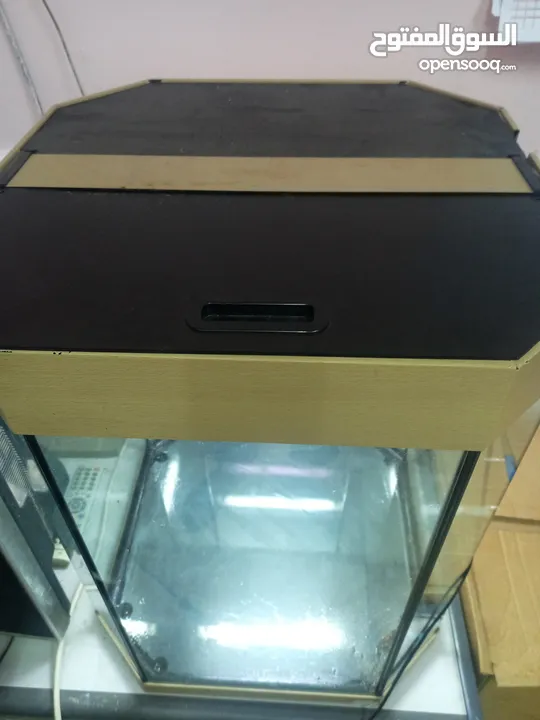 Octagon aquarium for sale