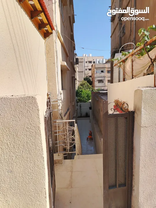 شقه للايجار