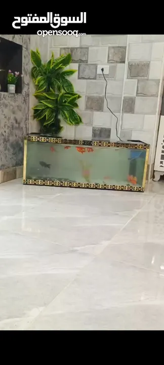 عندي حوض سمك زجاج ثقيل  جميل جدا   ارتفاع 40 عرض 100 مناسب للاطفال وقوي