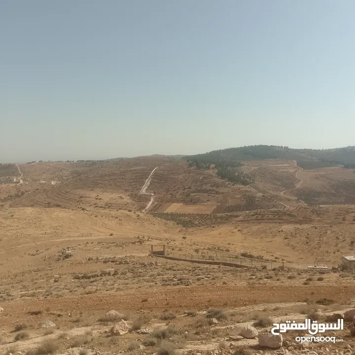 قطعة ارض شرق جرش مرويه من بئر ارتوازي مطله ومرتفعه بسعر مغري متوفر أكثر من 50 قطعه في نفس المنطقه