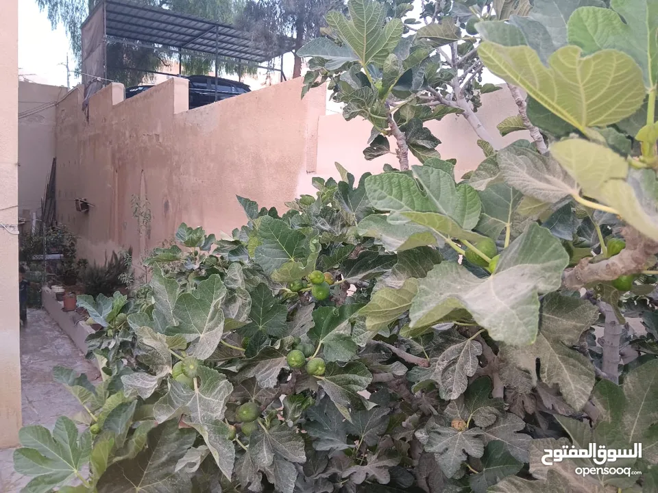 شقة بجبل طارق قرب دوار البقيع بسعر مغري
