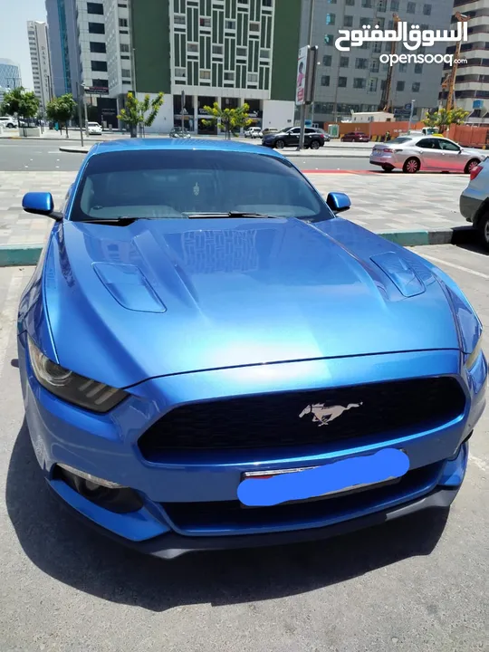 2015 Mustang GT Manual in very good condition