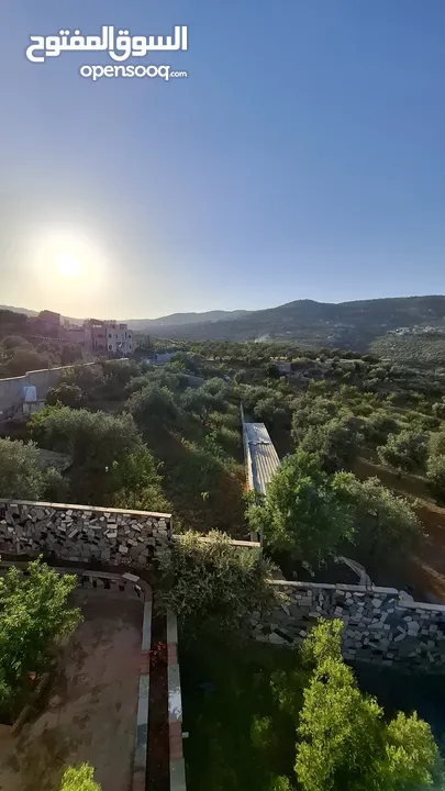 مزرعة وشاليه في جرش