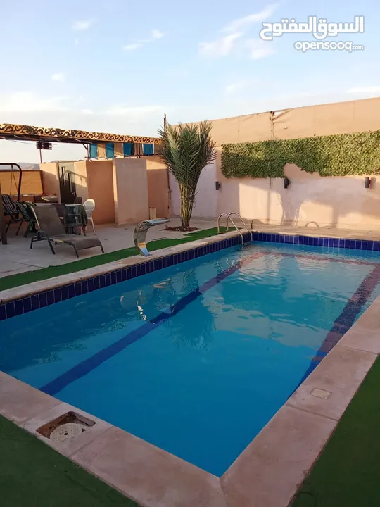 شاليه للايجار منطقه مطله جبل الروضه مطل ع البحر الميت وجبال فلسطين مسبح مغطى من اشعه الشمس