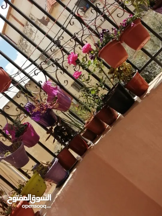 شقة للبيع ماركا الجنوبية نادي السباق طابق اول 120 متر