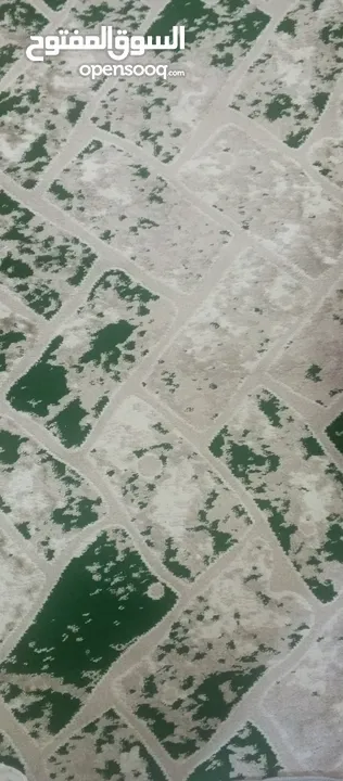 موكيت سجاد