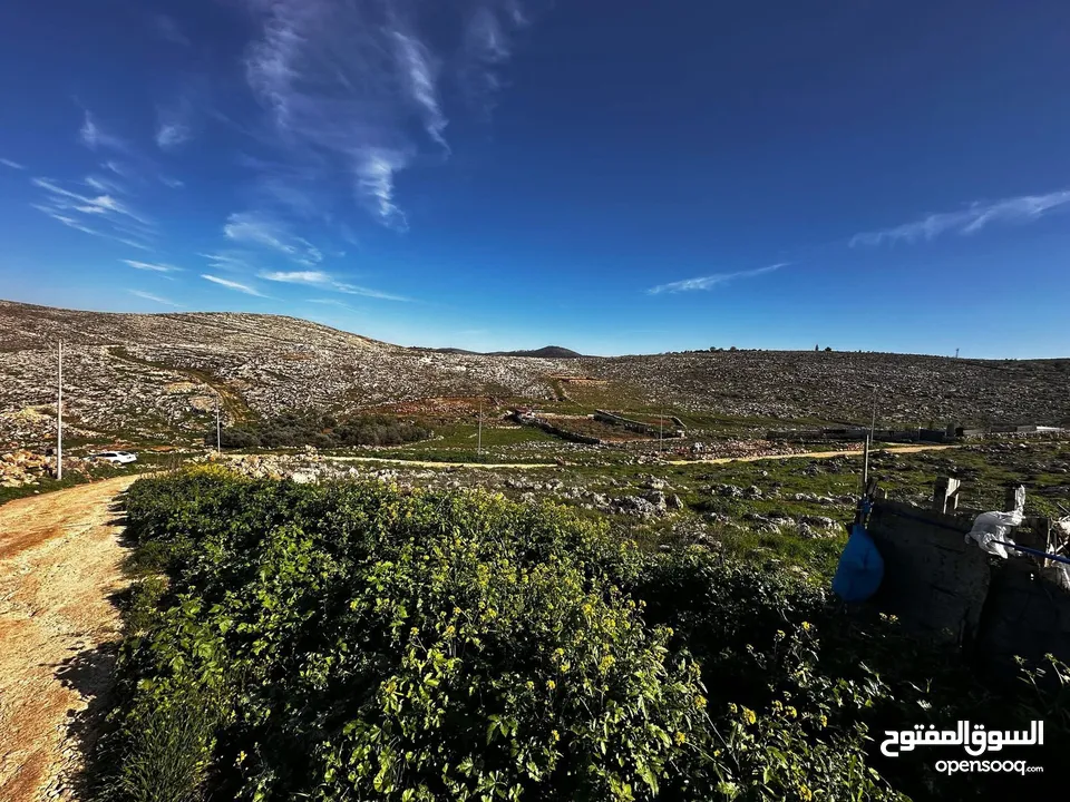 نمرة أرض للبيع او البدل ع سيارة بمنطقة روجيب مساحتها 600متر واصلها خدمات طابو نابلس