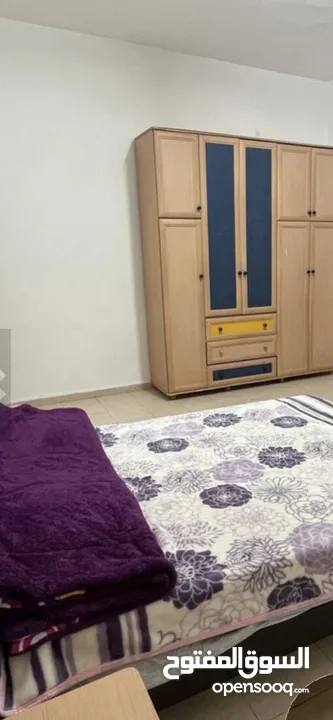 استوديو مفروش للإيجار. عين مصباح