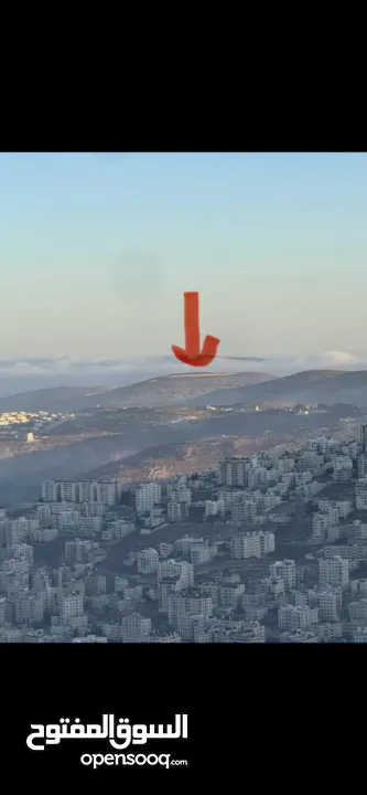 ارض اجنسنيا طابو