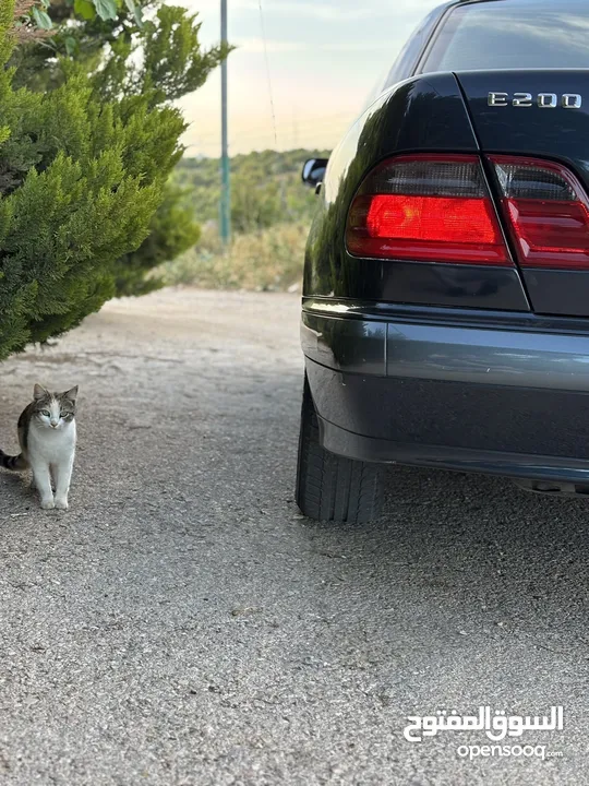 E200. 2002  قرش ونص 2002  رقم الهاتف بالوصف