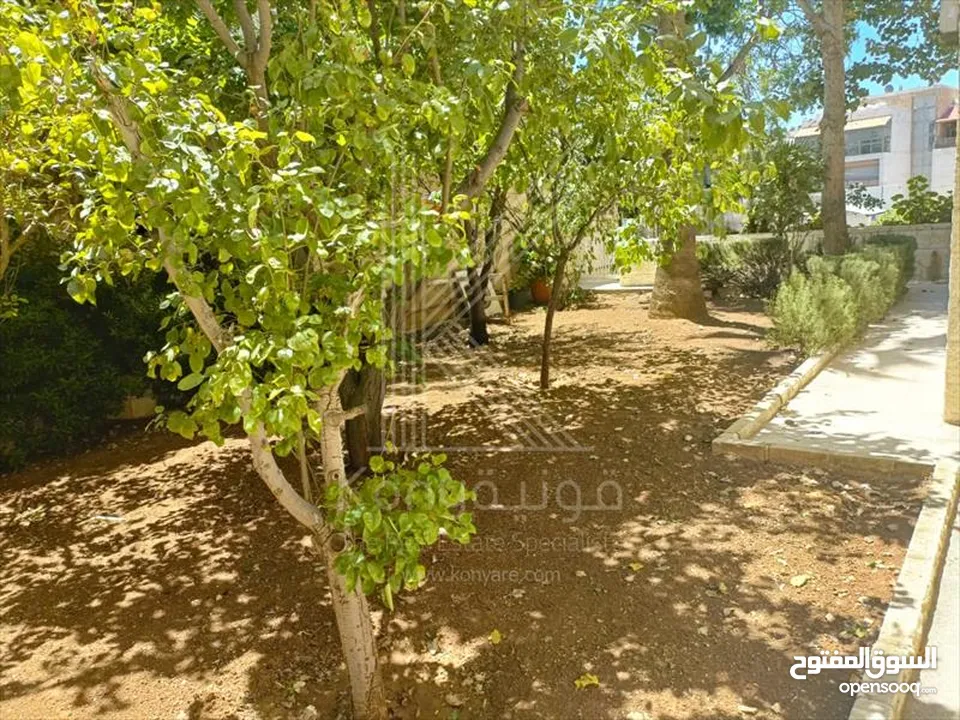 Apartment For Rent In Abdoun