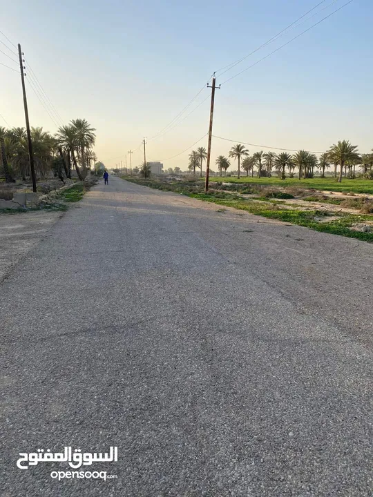 بغداد منطقة المكاسب خلف حي الجهاد قرب مطار بغداد