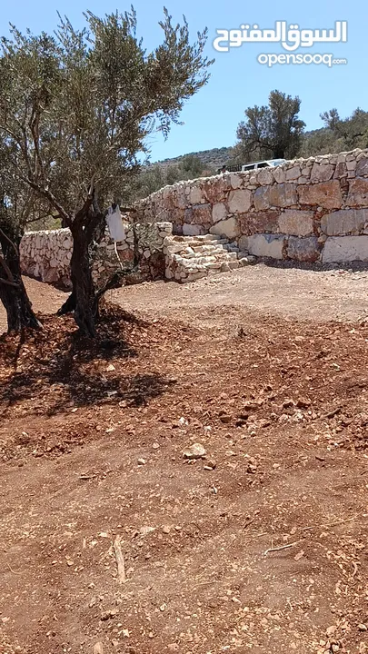 عمارة اراضي وبناء السناسل