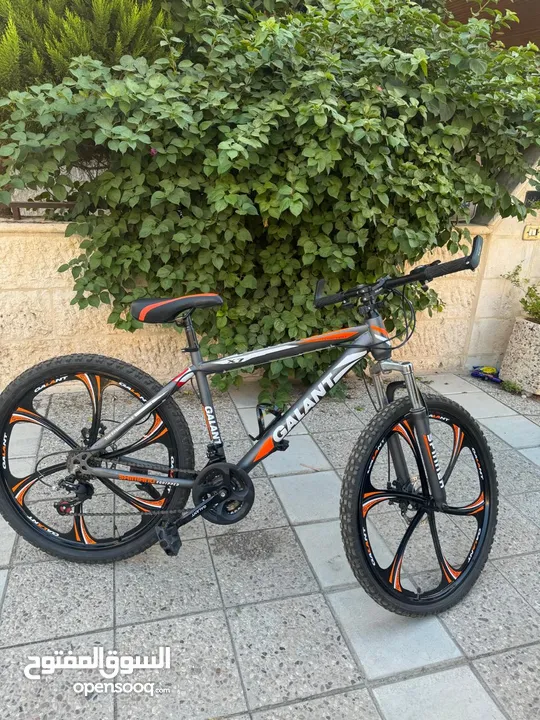 Gallant bike جنط 24 جبلي