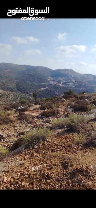 قطعة أرض مميزة بإطلالة خلابة في قرية عبوين – رام الله