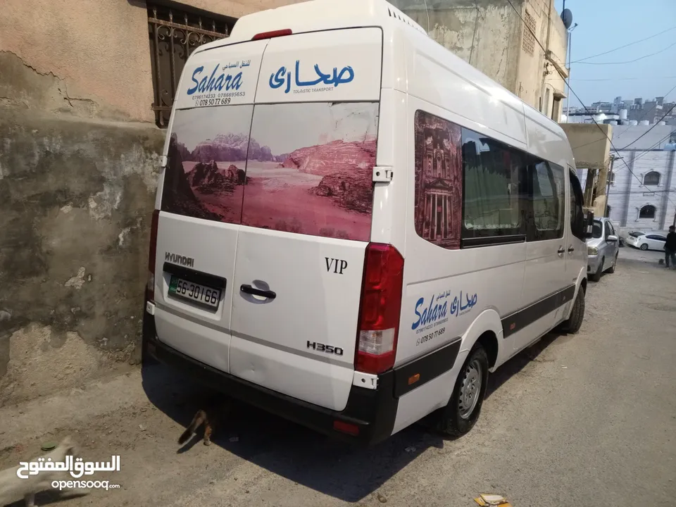 هونداي H350 لون ابيض
