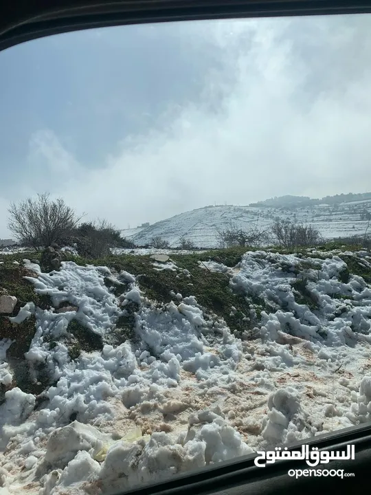 فرصة استثمارية! أرض زراعية مميزة بسعر مغري و بالقرب من أحراش الدولة للمزيد من المعلومات اقرأ الوصف