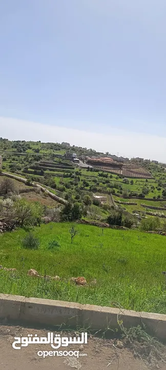 مزرعه مع بيت راقيه راس منيف موقع مميز مطله و بسعر مغري جدا