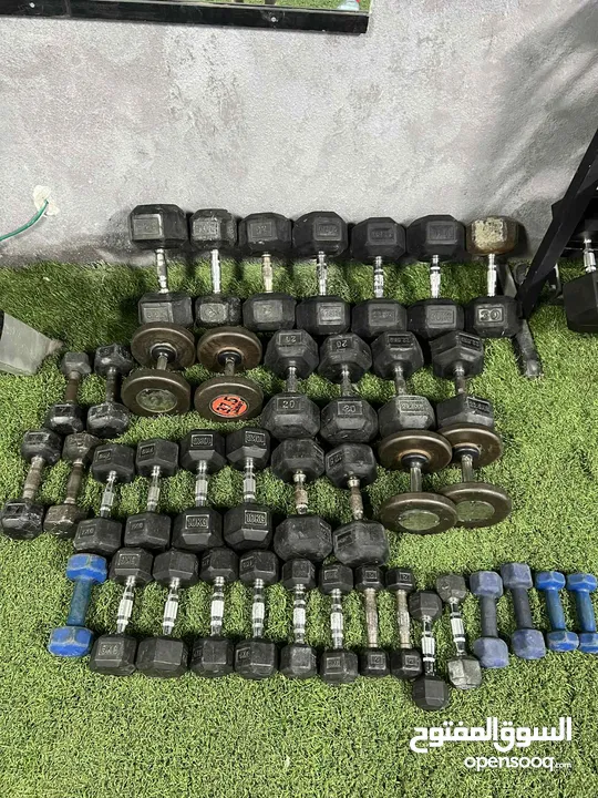 دمبل نادي مستعمل