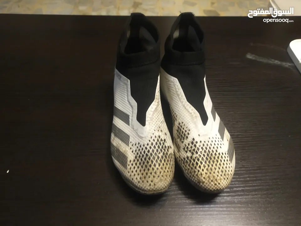 حذاء كرة قدم Adidas pretedor اصلي صناعة اندونيسيا اااااااااااأاااأاااااااااااااااااااااااااااااااااا