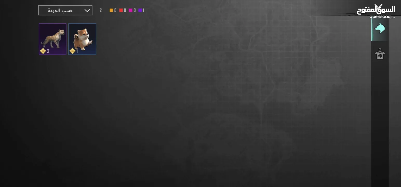 حساب ببجي جميل 4 سنين