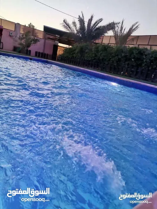 شاليه مميز طريق البحر الميت