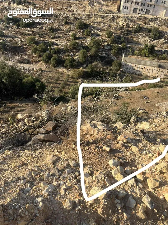 ارض واد الزرزير مطله وهادئه