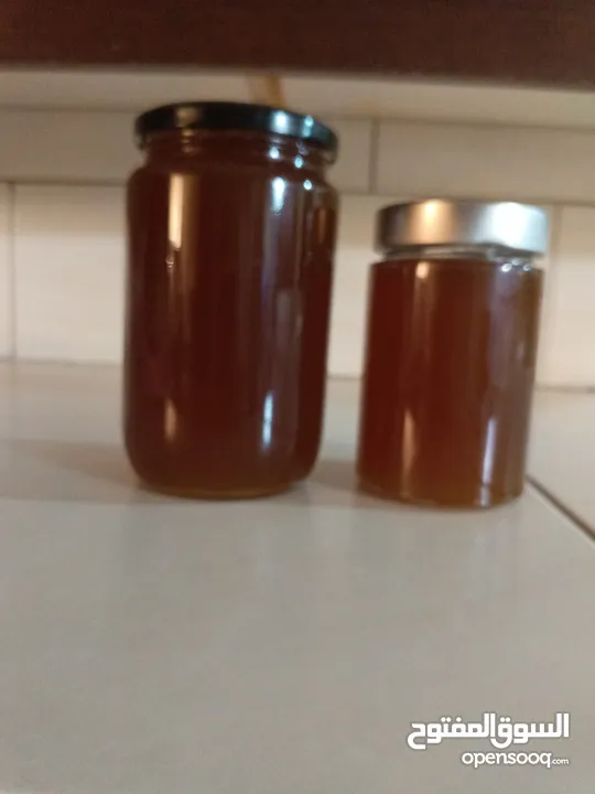 عسل طبيعي سدر اصلي في عمان شفا بدران