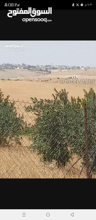 ارض زراعية للبيع  .. قطعه زراعية .   محافظة مادبا . ذيبان . مليح . حوض العلاقي . مساحة اربع دنمات