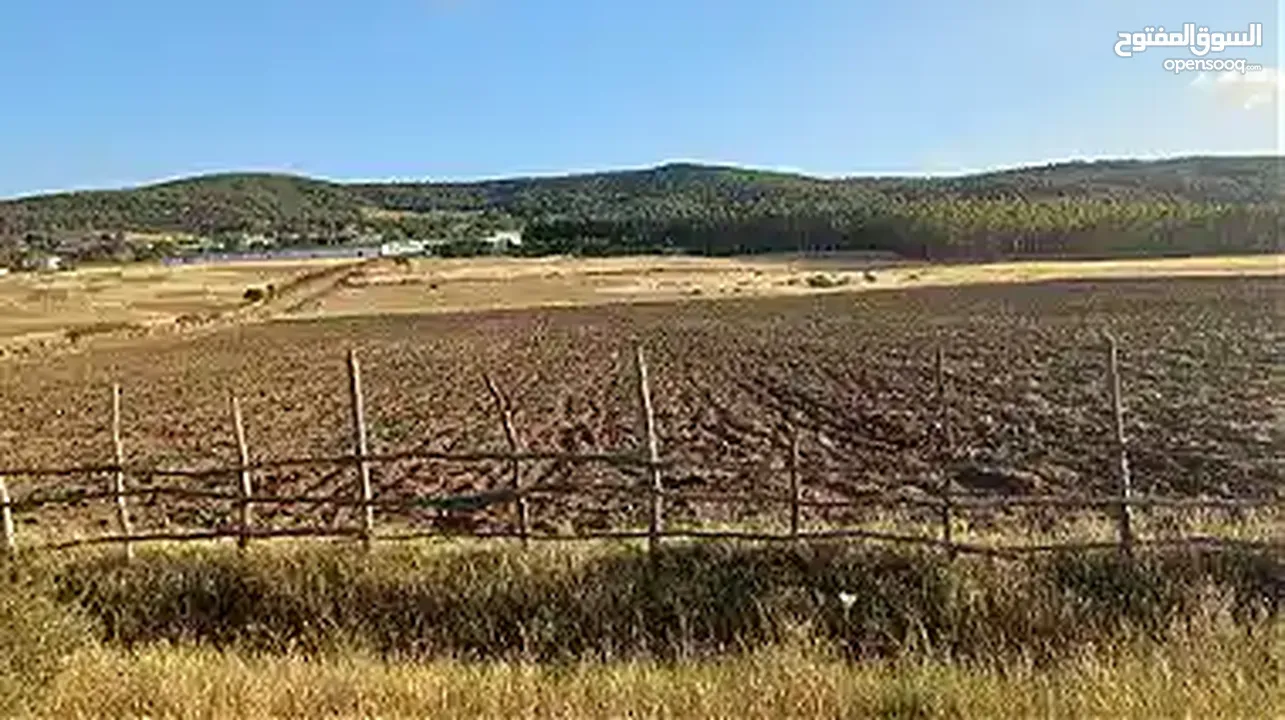 ارض  للبيع  حجر النحل طنجة