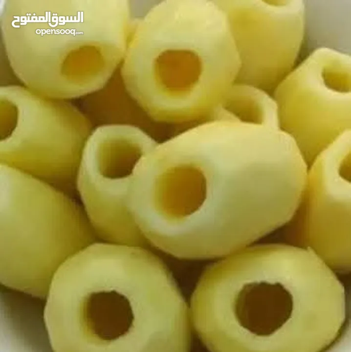 تجهيز خضار منزلي كوسا محفورة جاهزة ولف دوالي وسمبوسة وطبخ جاهز #مندي #كبسة #منسف